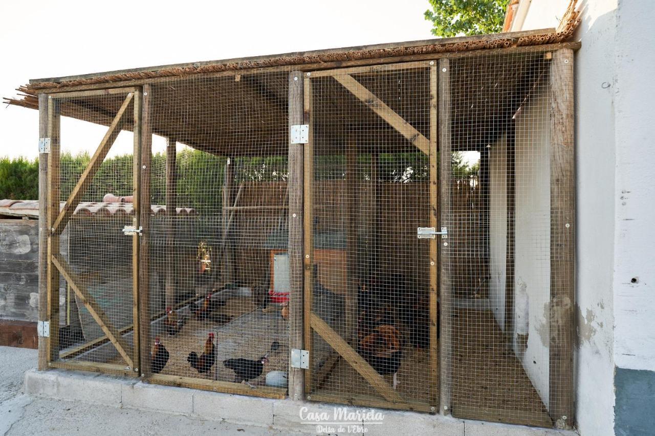 La Casa De Marieta "B" Villa Deltebre Dış mekan fotoğraf